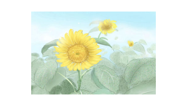 阳台种植石榴花的北方风水探讨智研卡密分销 | 创作者分成平台 | 商业全案定制 | 域名交易平台 | 运营方案 | 积分兑换系统 | 知识付费社群智研新知品牌官方网站站