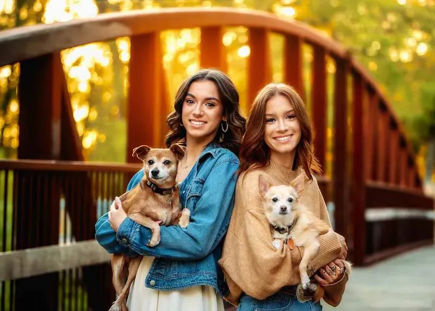 图片[2]智研卡密分销 | 创作者分成平台 | 商业全案定制 | 创业| 运营方案 | 积分兑换系统 | 知识付费社群|宝妈副业大师级GTG出品-老友记系列AI自适应预设The Friends Preset Collection智研卡密分销 | 创作者分成平台 | 商业全案定制 | 创业| 运营方案 | 积分兑换系统 | 知识付费社群|宝妈副业智研新知品牌官方网站站