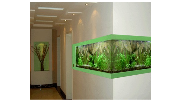 客厅放置龙鱼缸对风水好吗?智研卡密分销 | 创作者分成平台 | 商业全案定制 | 域名交易平台 | 运营方案 | 积分兑换系统 | 知识付费社群智研新知品牌官方网站站