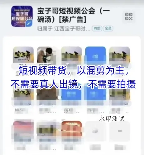 宝子哥头部团队短视频带货，以混剪为主，不需要真人出镜，不需要拍摄【更新26年1月】智研卡密分销 | 创作者分成平台 | 商业全案定制 | 域名交易平台 | 运营方案 | 积分兑换系统 | 知识付费社群智研新知品牌官方网站站
