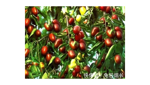 院子里养兔子的风水讲究智研卡密分销 | 创作者分成平台 | 商业全案定制 | 域名交易平台 | 运营方案 | 积分兑换系统 | 知识付费社群智研新知品牌官方网站站