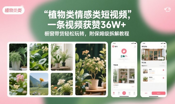 植物类情感类短视频，一条视频获赞36W+，橱窗带货轻松玩转，附保姆级拆解教程智研卡密分销 | 创作者分成平台 | 商业全案定制 | 域名交易平台 | 运营方案 | 积分兑换系统 | 知识付费社群智研新知品牌官方网站站
