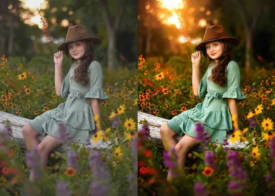 大师级GTG出品-老友记系列AI自适应预设The Friends Preset Collection智研卡密分销 | 创作者分成平台 | 商业全案定制 | 创业| 运营方案 | 积分兑换系统 | 知识付费社群|宝妈副业智研新知品牌官方网站站