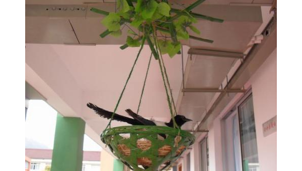 家中摆放风铃的风水作用智研卡密分销 | 创作者分成平台 | 商业全案定制 | 域名交易平台 | 运营方案 | 积分兑换系统 | 知识付费社群智研新知品牌官方网站站