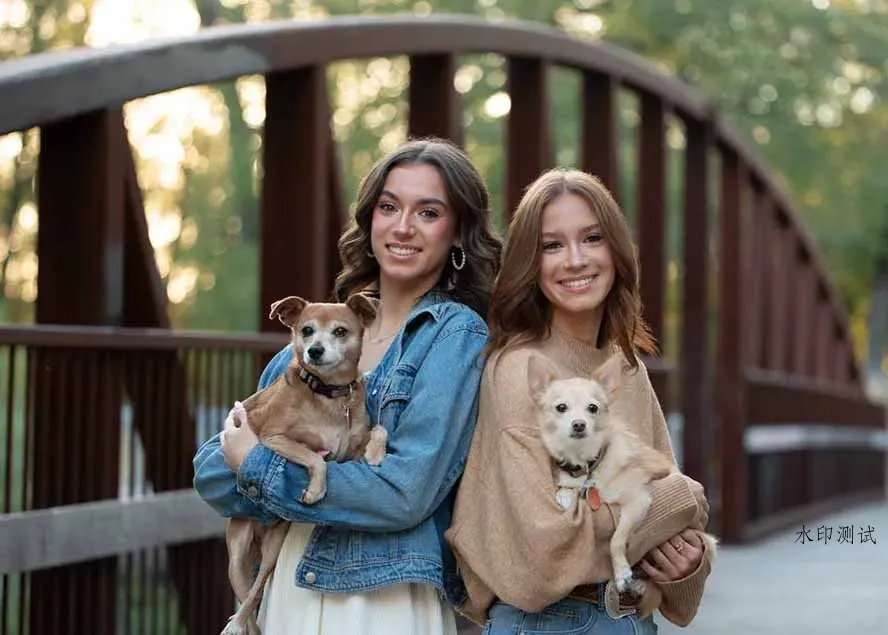 图片[1]智研卡密分销 | 创作者分成平台 | 商业全案定制 | 创业| 运营方案 | 积分兑换系统 | 知识付费社群|宝妈副业大师级GTG出品-老友记系列AI自适应预设The Friends Preset Collection智研卡密分销 | 创作者分成平台 | 商业全案定制 | 创业| 运营方案 | 积分兑换系统 | 知识付费社群|宝妈副业智研新知品牌官方网站站