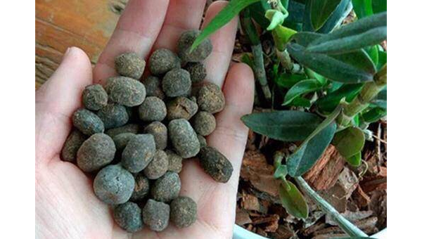 院子里养鸽子的风水讲究智研卡密分销 | 创作者分成平台 | 商业全案定制 | 域名交易平台 | 运营方案 | 积分兑换系统 | 知识付费社群智研新知品牌官方网站站