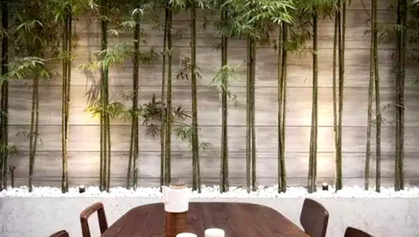 院子里种植竹子的风水好处智研卡密分销 | 创作者分成平台 | 商业全案定制 | 域名交易平台 | 运营方案 | 积分兑换系统 | 知识付费社群智研新知品牌官方网站站