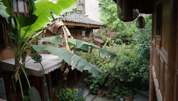 院子里种植李树的风水好处智研卡密分销 | 创作者分成平台 | 商业全案定制 | 域名交易平台 | 运营方案 | 积分兑换系统 | 知识付费社群智研新知品牌官方网站站