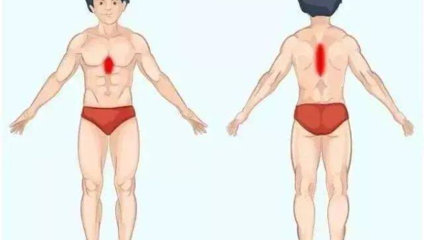 巴西与中国 AI 模型发展对比分析表智研卡密分销 | 创作者分成平台 | 商业全案定制 | 域名交易平台 | 运营方案 | 积分兑换系统 | 知识付费社群智研新知品牌官方网站站