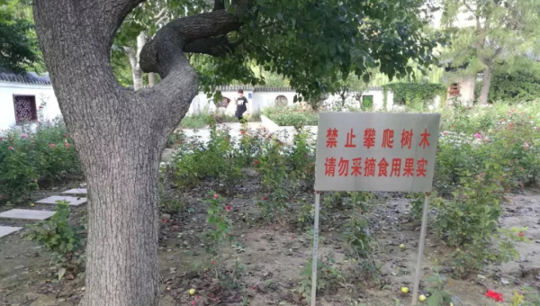 院子里种植桃树的风水意义智研卡密分销 | 创作者分成平台 | 商业全案定制 | 域名交易平台 | 运营方案 | 积分兑换系统 | 知识付费社群智研新知品牌官方网站站